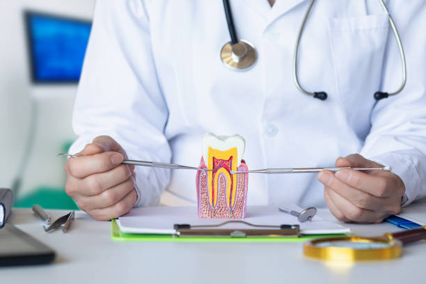 Best Emergency Root Canal Treatment in Lakeport, TX